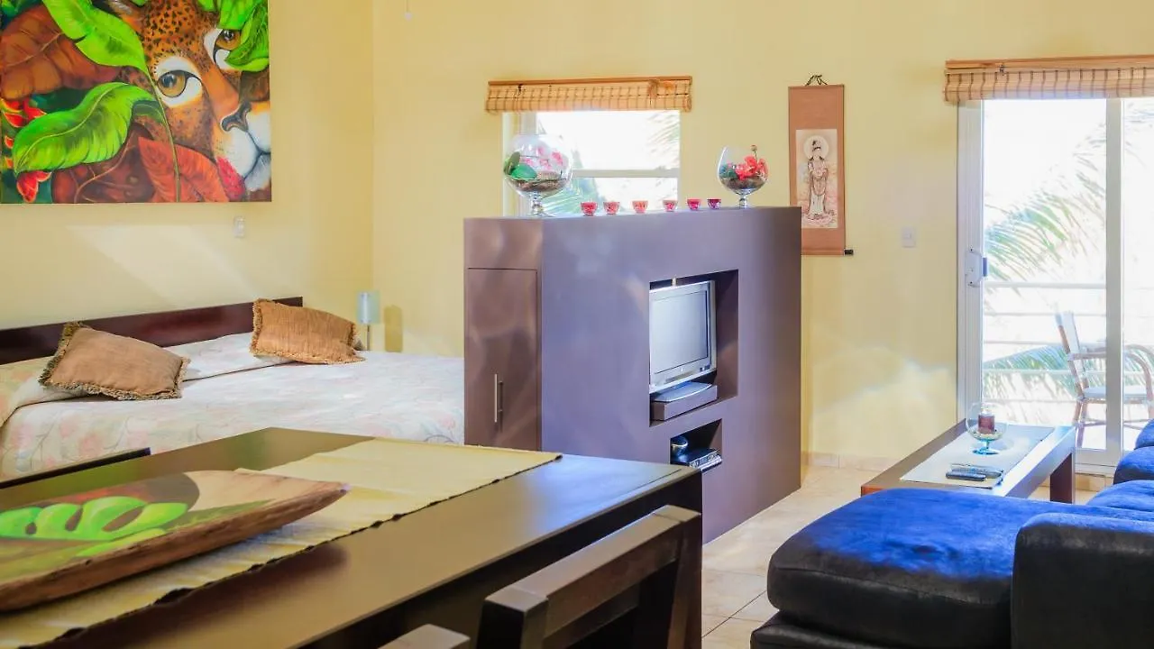 Ocean Dream Lejlighed Cabarete